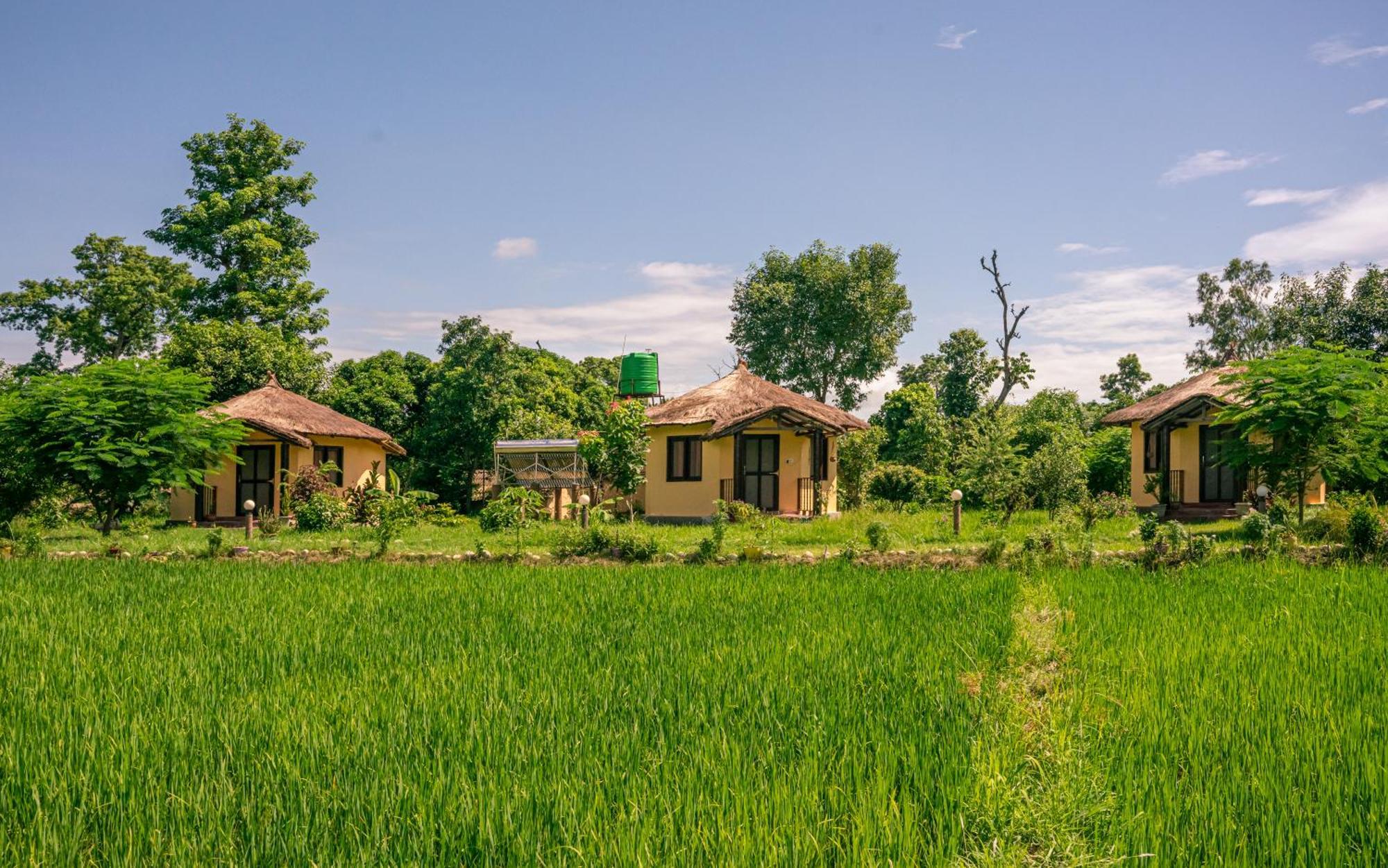 Lodge Sunsetview Bardia *